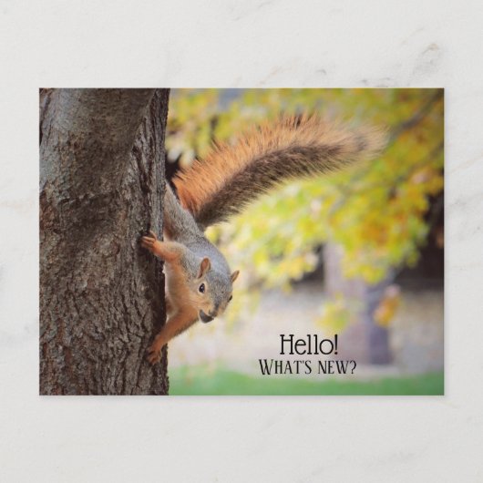 ハローハガキを言うためにポップアップ ポストカード (正面)