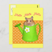 ハローハムスター ポストカード (正面/裏面)