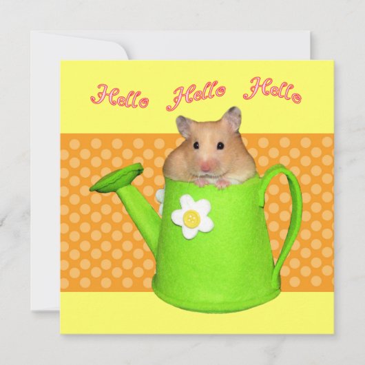 ハローハムスター 招待状 (正面)