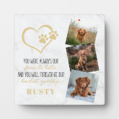 ハローハードバイお気に入りのグバイナペット記念碑 フォトプラーク (正面)