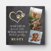 ハローハードバイお気に入りのグバイナペット記念碑 フォトプラーク (正面)