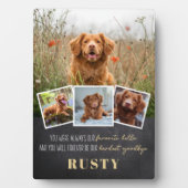 ハローハードバイお気に入りの別れペットメモリアルプラーク フォトプラーク (正面)