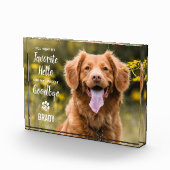 ハローハードバイお気に入りの別れペット損失記念碑 フォトブロック (右)