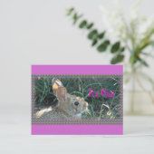 ハローバニー ポストカード (スタンド正面)