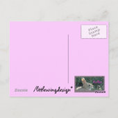 ハローバニー ポストカード (裏面)