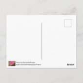 ハローピンクシャクナゲ花はがき ポストカード (裏面)