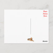 ハローブラッドハウンド子犬グリーティングポストカード ポストカード (裏面)