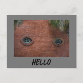 ハローブリックウォールウィンドウアイズおもしろい写真 ポストカード (正面)