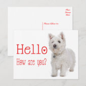 ハローホワイトウエストハイランドテリアパピードッグ ポストカード (正面/裏面)