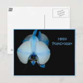 ハローポストクロスザー ポストカード (正面/裏面)