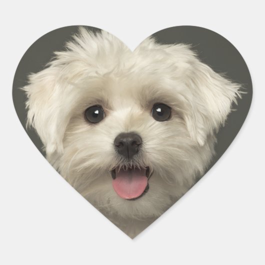 ハローマルチーズパピードッグステッカー/シール ハートシール (正面)
