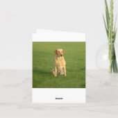 ハローラブラドールレトリエバーパピードッグズノートカード カード (裏面)