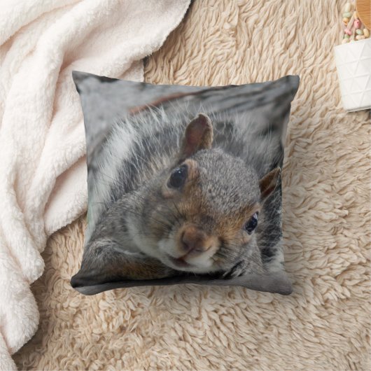 ハローリス クッション (ブランケット)