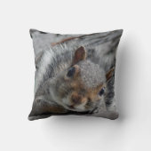 ハローリス クッション (裏面)