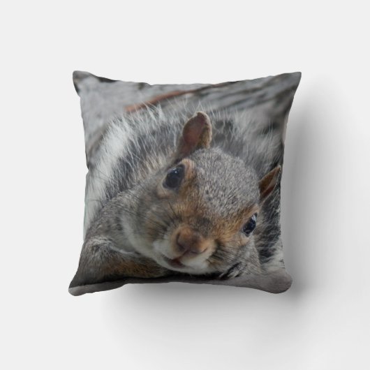 ハローリス クッション (裏面)