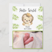 ハローワールドベビーライオンキングサファリ動物 案内状 (正面)