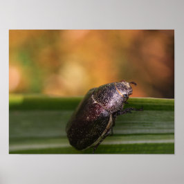 ハローワールド！ ポスター