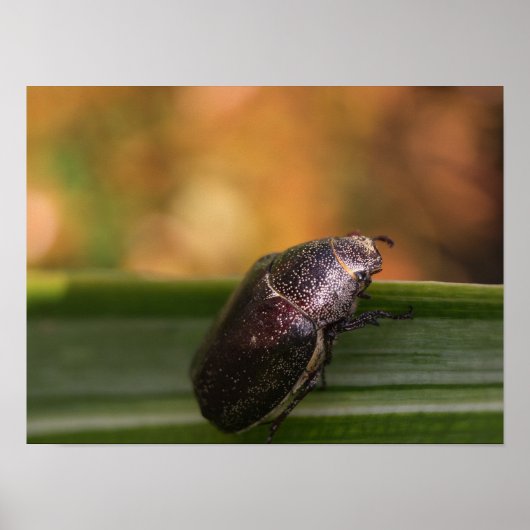 ハローワールド！ ポスター (正面)