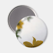 ハロー春イエローフラワーズマグネット マグネット (正面/裏面)