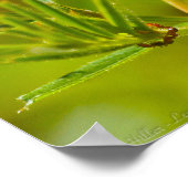 ハロー春ブルーバタフライオンエバーロングピー ポスター (角)