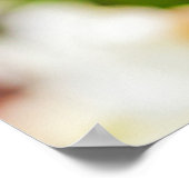 ハロー春! ポスター (角)