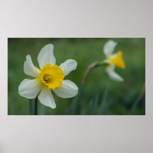 ハロー春! ポスター (正面)