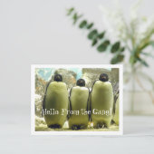 ハロー集団はがき ポストカード (スタンド正面)