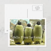 ハロー集団はがき ポストカード (正面/裏面)