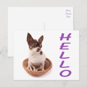 ハロー チワワ 子犬 ポストカード (正面/裏面)