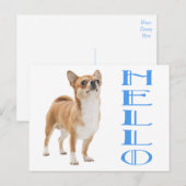 ハロー チワワ 子犬 ポストカード (正面/裏面)