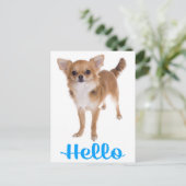 ハロー チワワ 子犬 ポストカード (スタンド正面)
