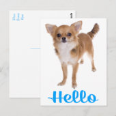 ハロー チワワ 子犬 ポストカード (正面/裏面)