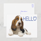 ハロー・バセット・ハウンド・ワンピー・ドッグ・ブ考えるルーズ・オブ・ユー ポストカード (正面/裏面)