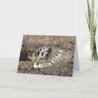 ハロー・ビューティフル カード