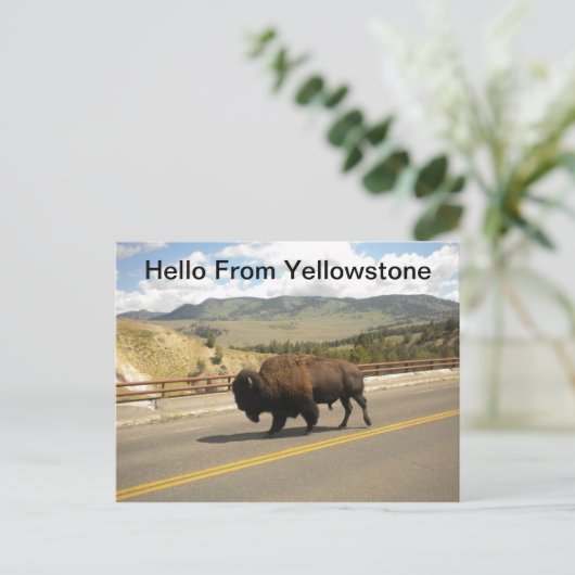 ハローfromイエローストーンはがき ポストカード (スタンド正面)