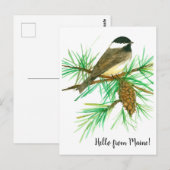 ハローfromメーンブラックキャップ《鳥》アメリカゴガラバード ポストカード (正面/裏面)