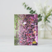 ハロ，スペインのはがき ポストカード (スタンド正面)