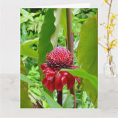 ハワイからのハッピーバースデーの郵便はがき カード (黄色い花)