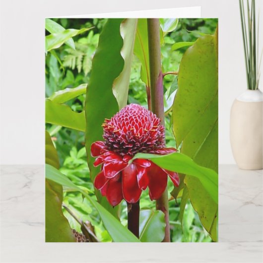 ハワイからのハッピーバースデーの郵便はがき カード (正面)