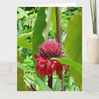 ハワイからのハッピーバースデーの郵便はがき カード