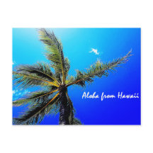 ハワイからアロハ