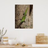 ハワイかわいいゲッコ屋外トロピカルポスター ポスター (キッチン)