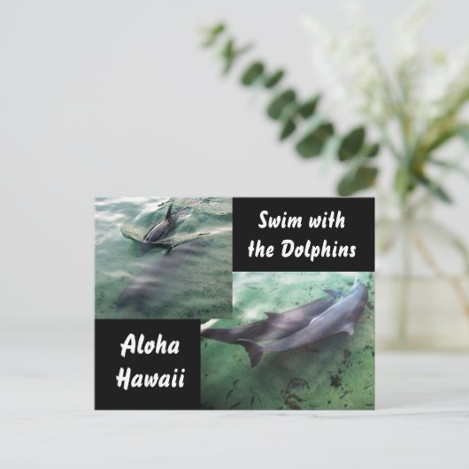ハワイのイルカ ポストカード (スタンド正面)