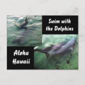 ハワイのイルカ ポストカード (正面)