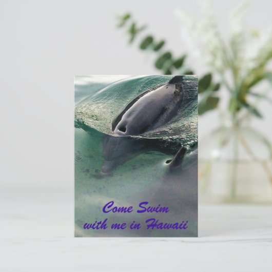 ハワイのイルカ ポストカード (スタンド正面)
