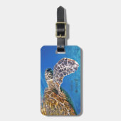 ハワイのウミガメの水泳 ラゲッジタグ (正面縦)