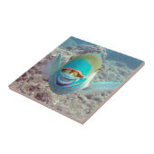 ハワイのオウムの魚 タイル (側面)