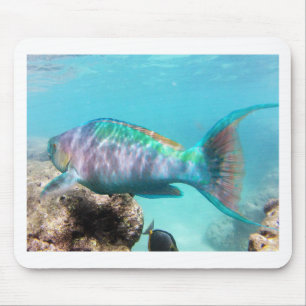ハワイのオウムの魚 マウスパッド