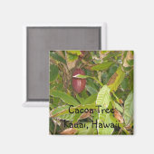 ハワイのカコア・ツリー マグネット (正面/裏面)
