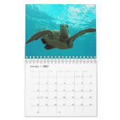 ハワイのカメのカレンダー カレンダー (1月 2027)